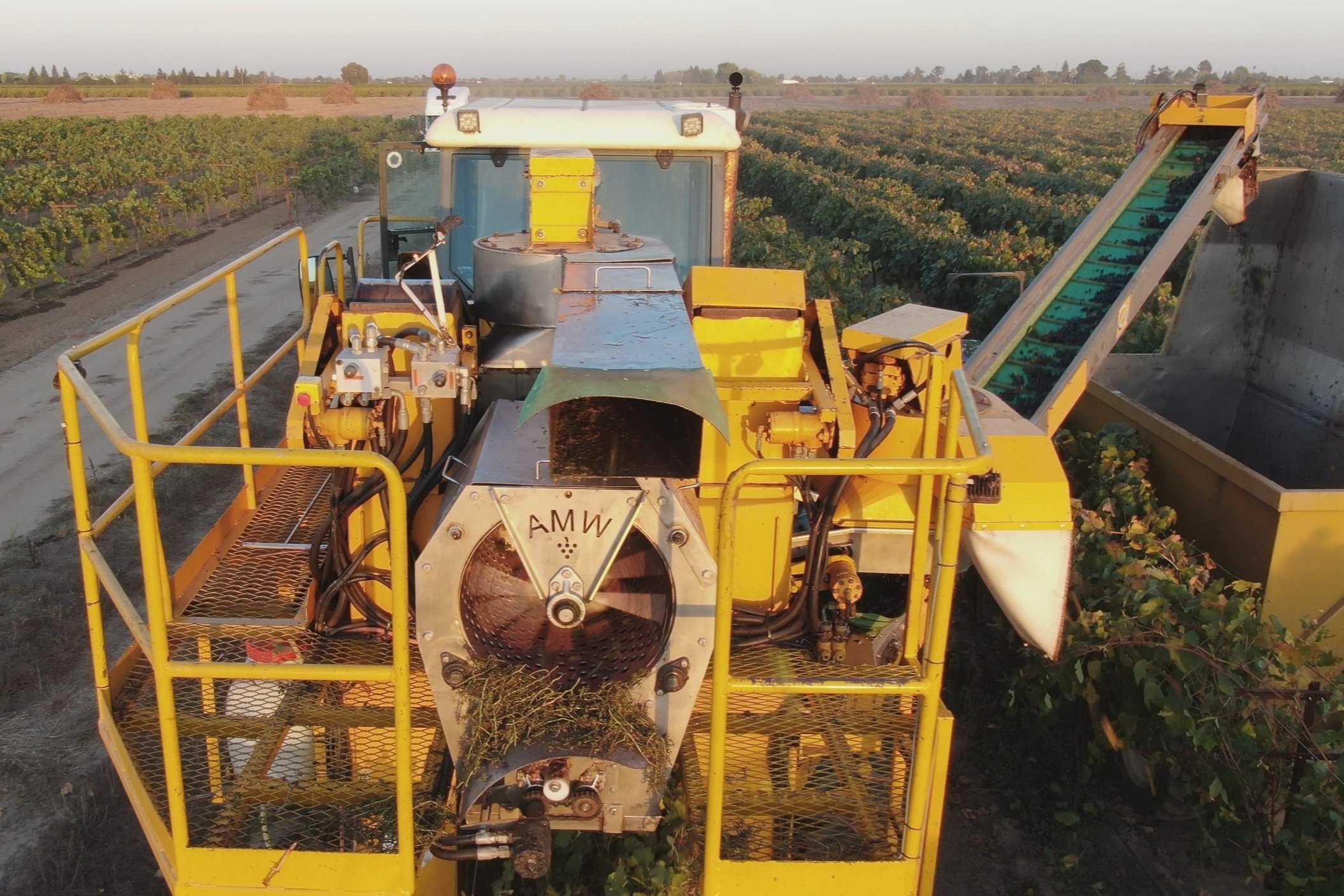 Style "A" Harvester Mounted Sort System
