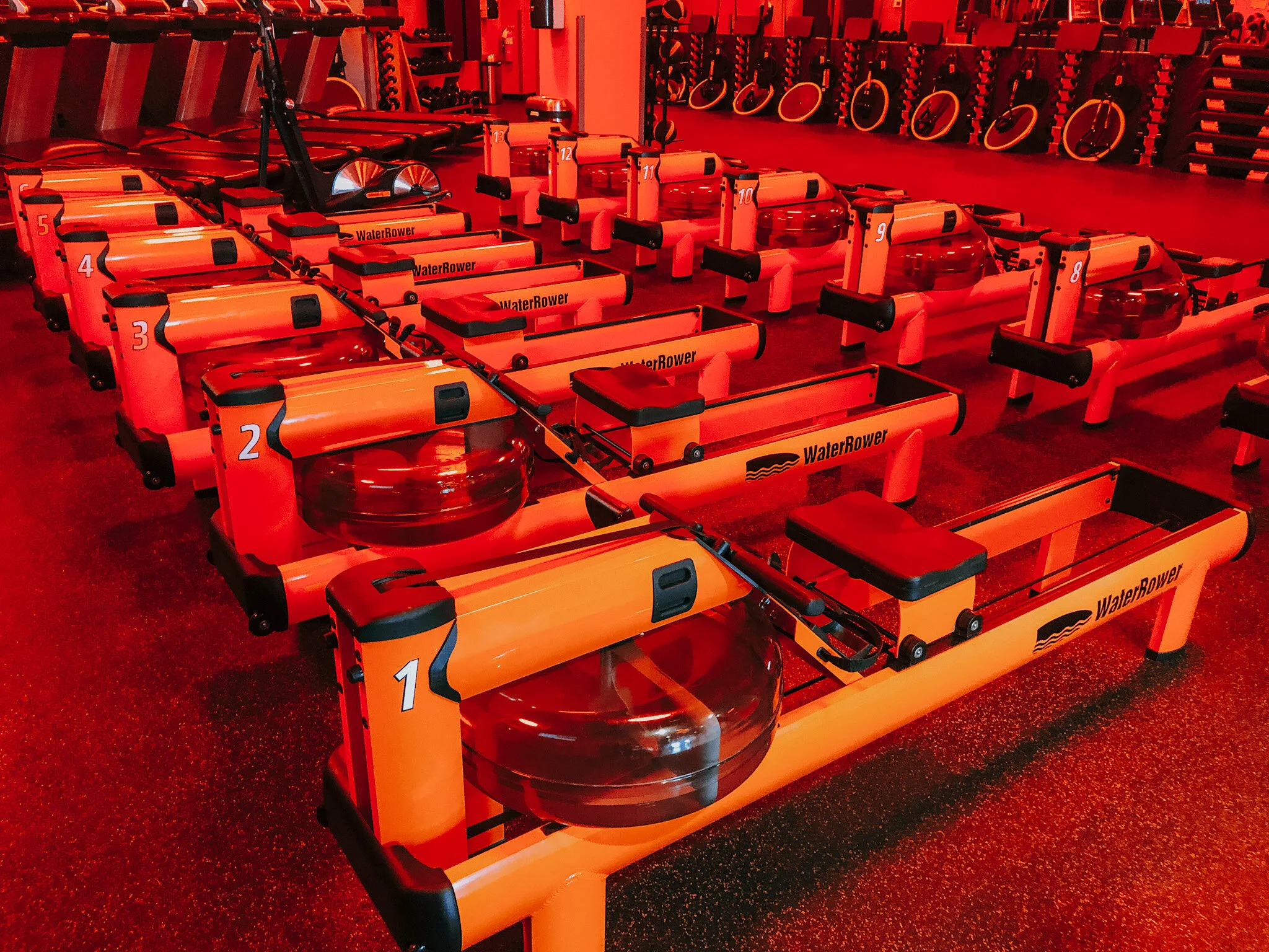 Orangetheory Not Your Average Workout — Southern Charm Prep