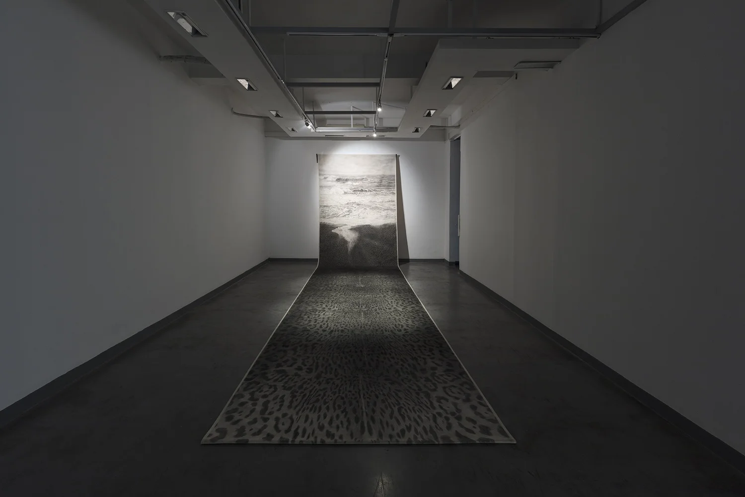 Vista de instalación de la exposición “Cuentos bárbaros -otras tempestades-” en la Sala Luis Miro Quesada Garland de Miraflores, Lima, Perú.
