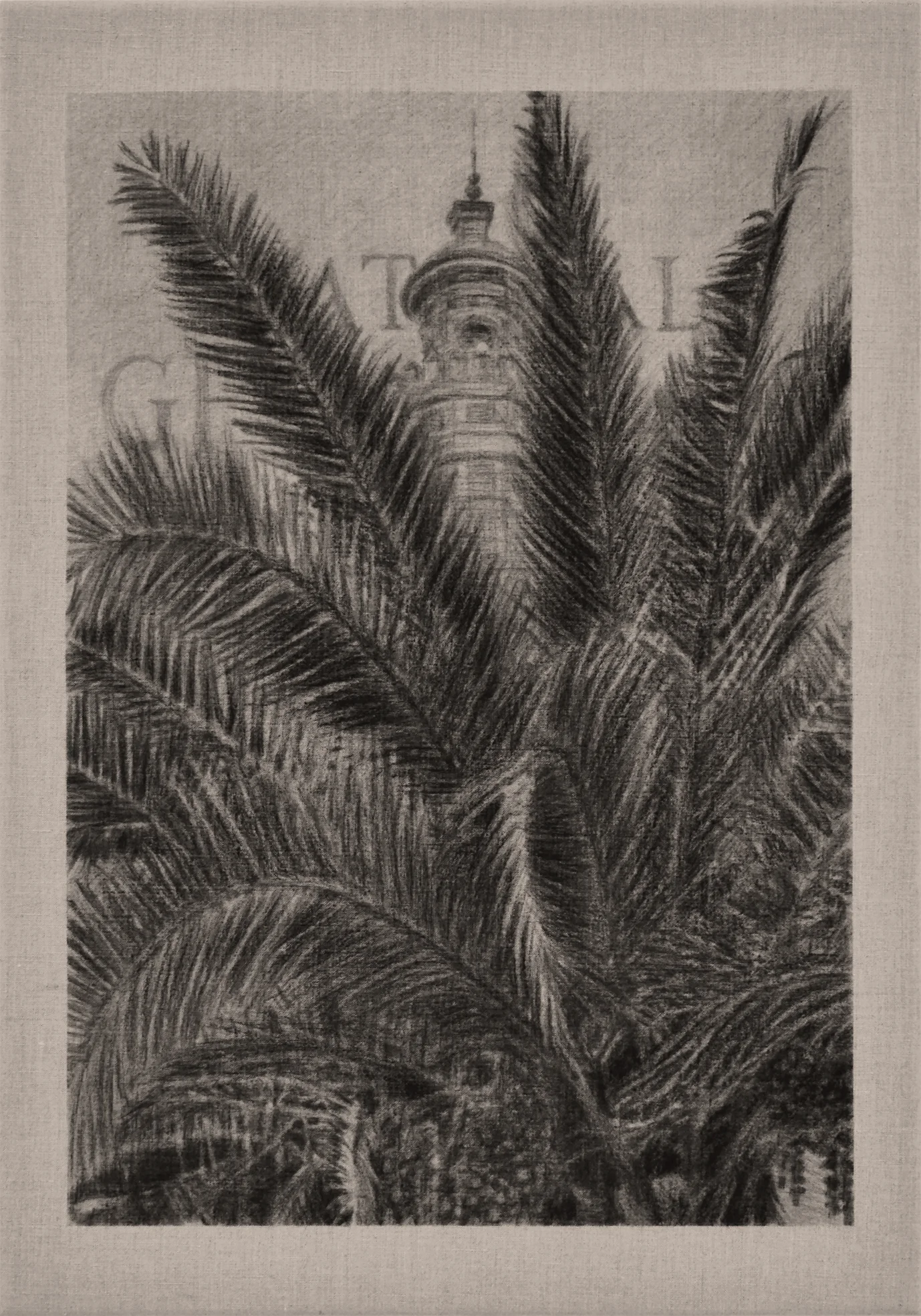 palmeras.jpg
