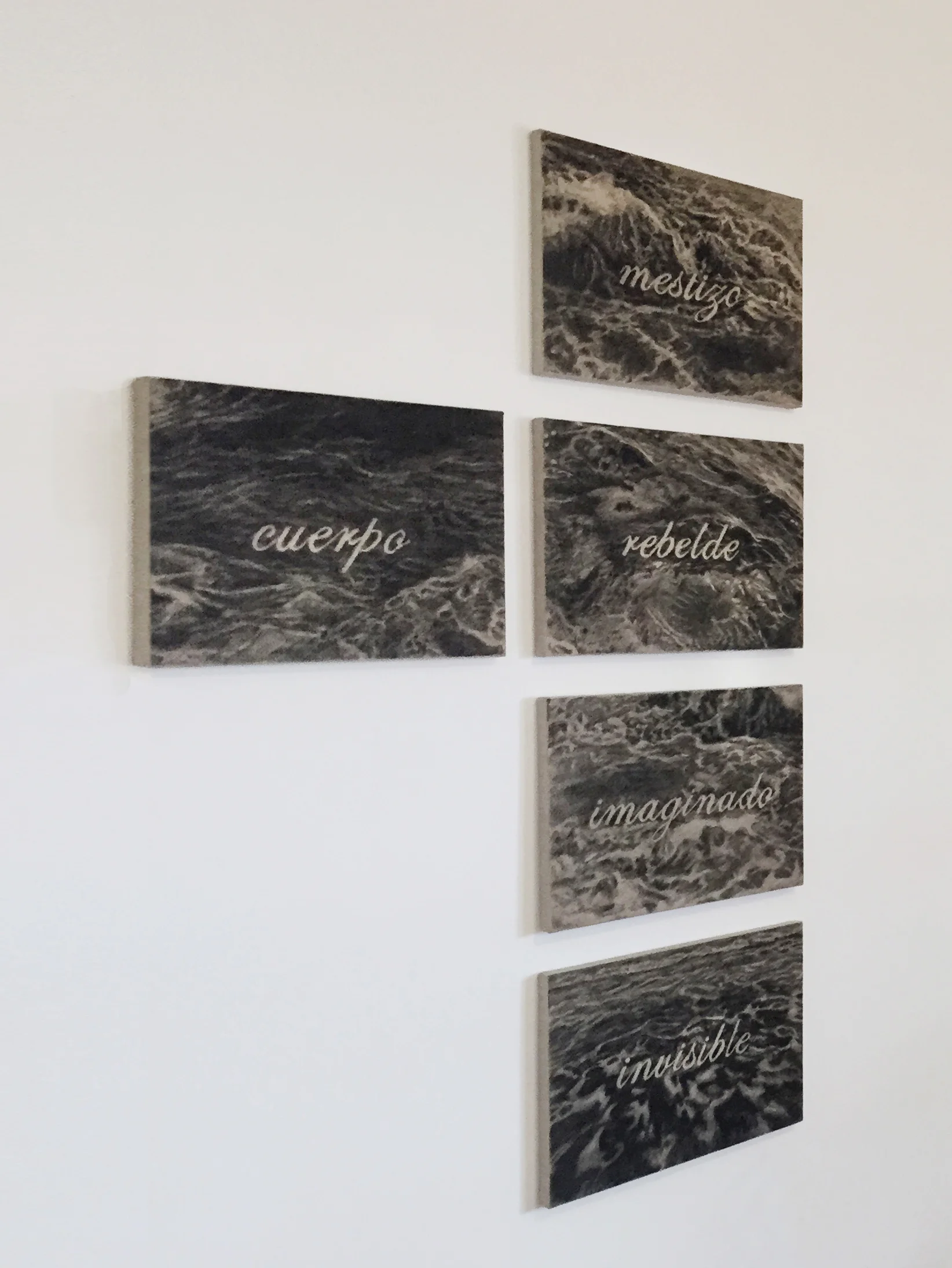 Otras deseos Dibujo en carbón vegetal sobre tela Políptico 0.50 m x 0.35 m (cada uno)