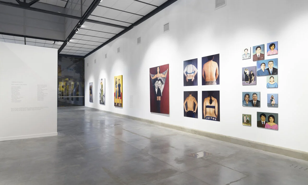 Vistas de la exposición Mestiza en el Museo de Arte Contemporáneo de Lima, 2014. Fotografías de sala por Juan Pablo Murrugarra.