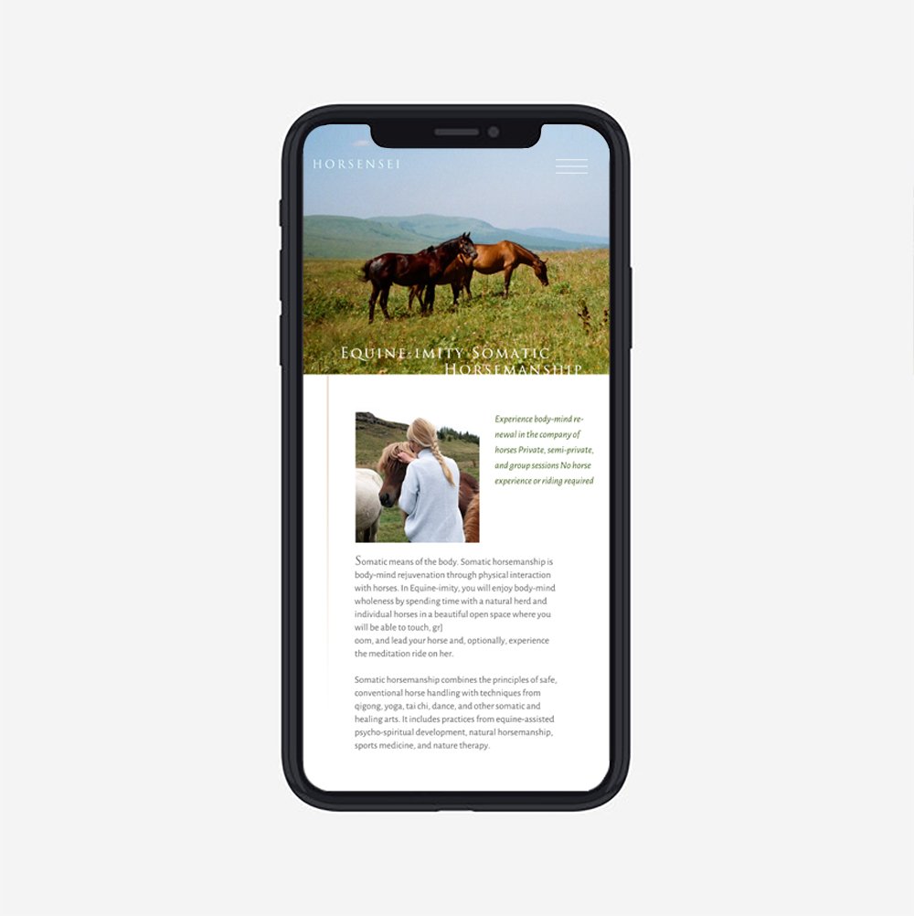 Horsesensei moblie thumbnail 2.jpg