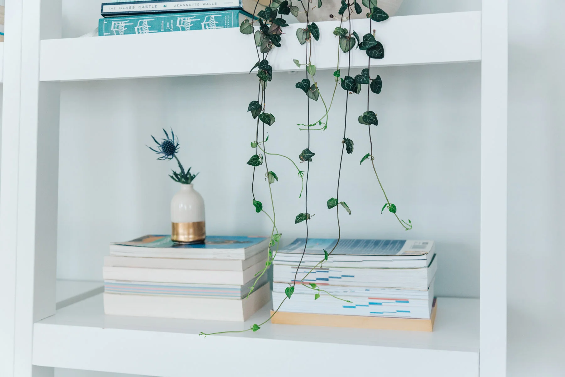 book-stacks-vine-plant-styled-shelf.jpg