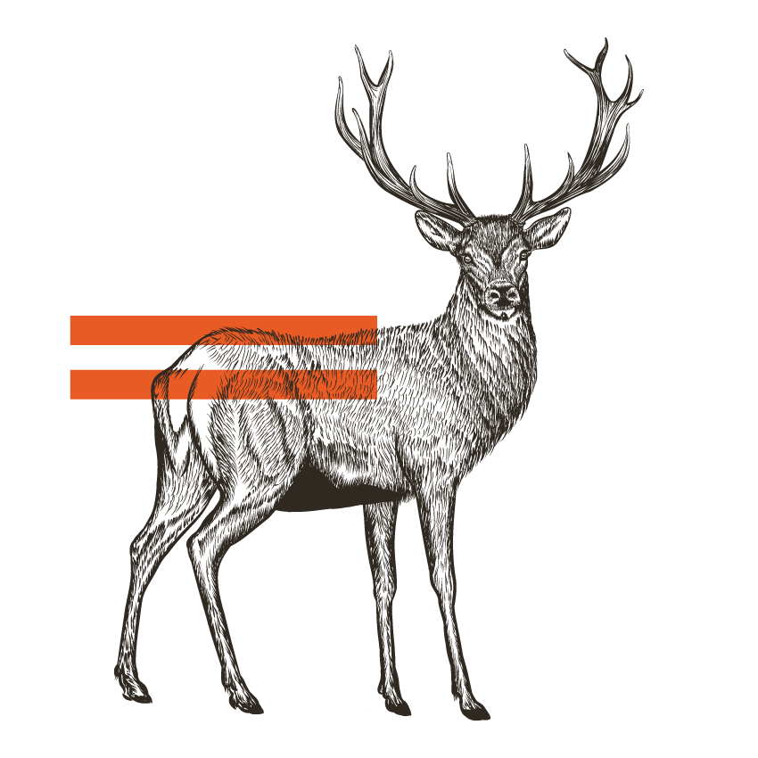 Deer-Mock-up.png