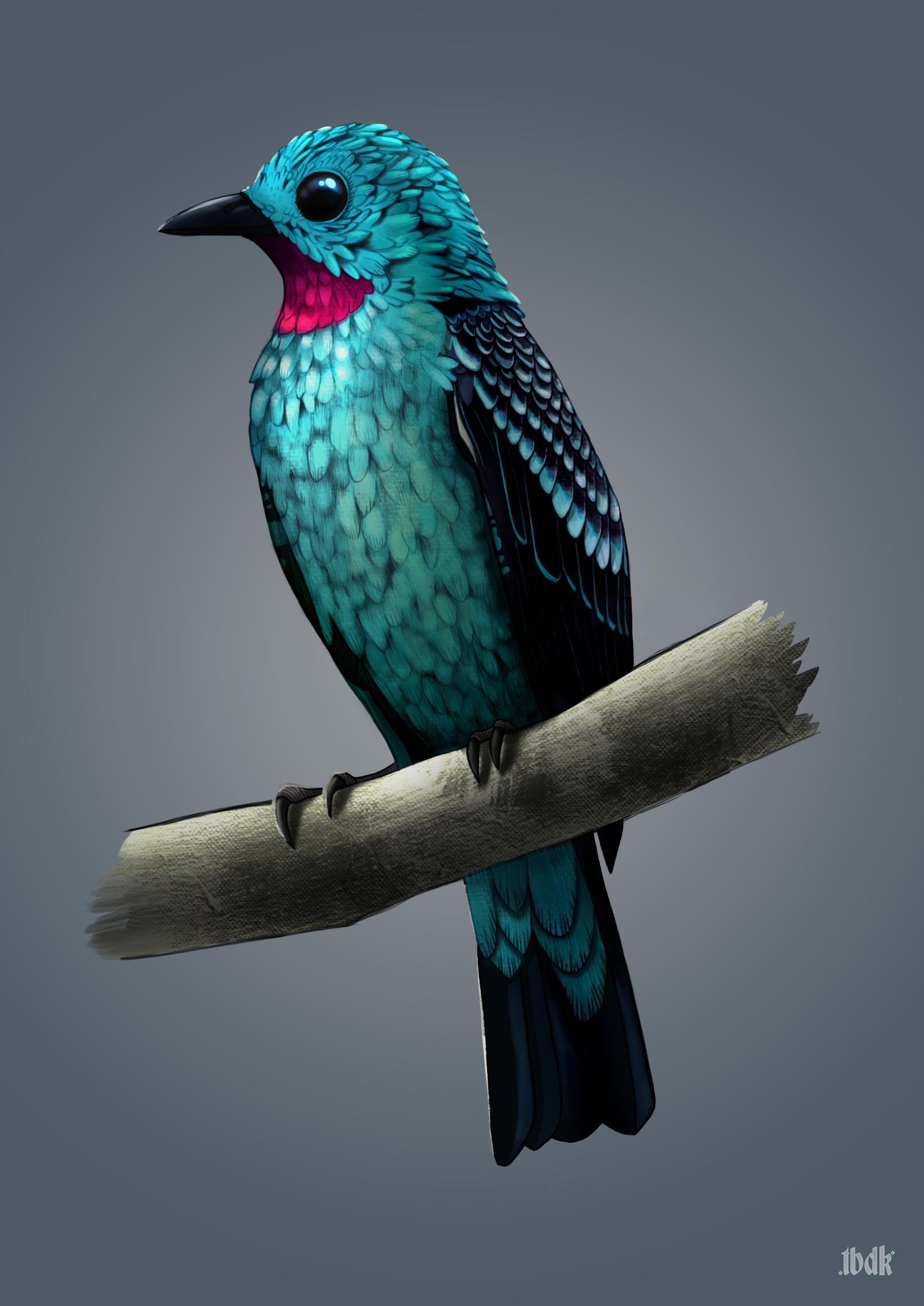 SpangledCotinga.jpg