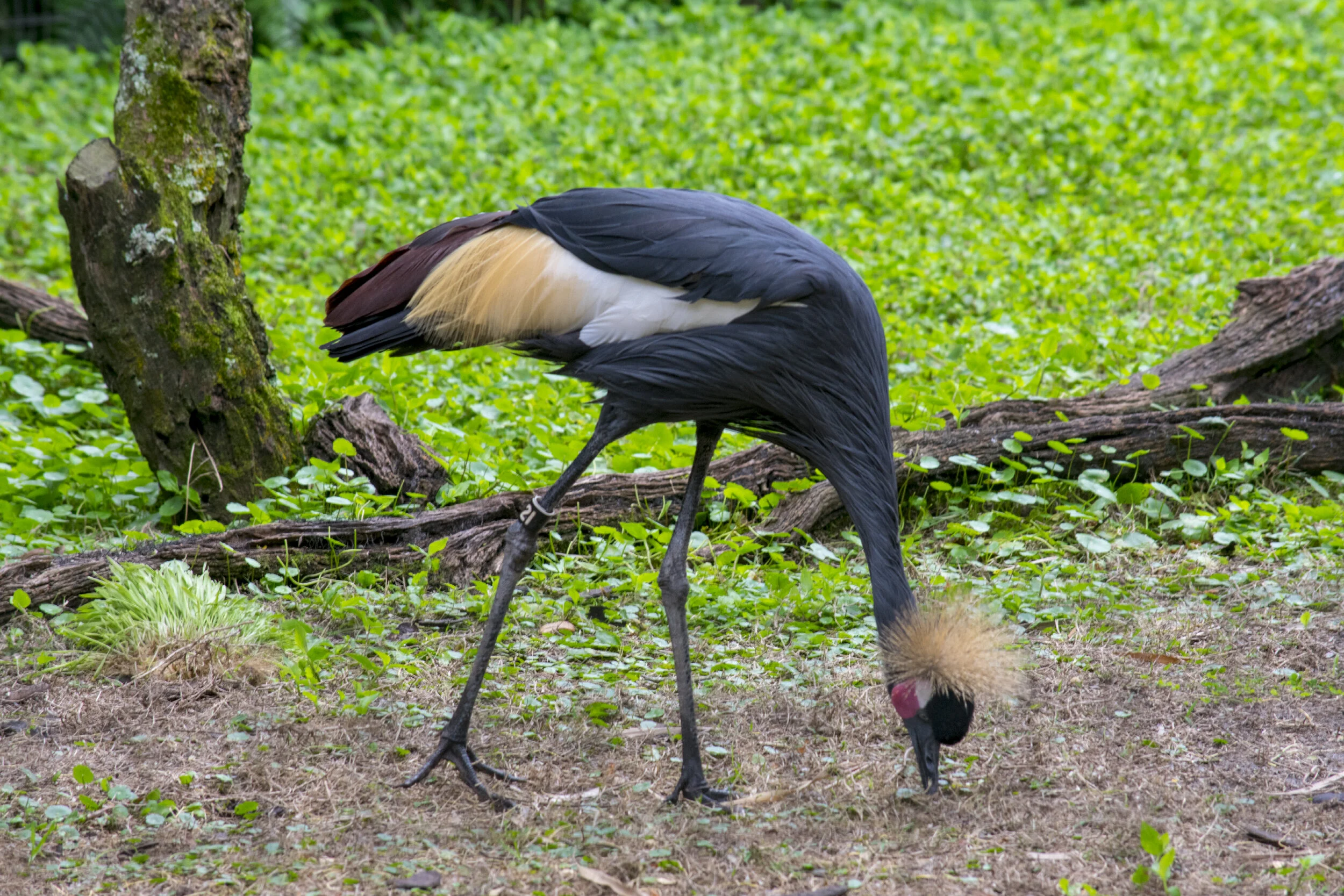 DSC_0030.jpg