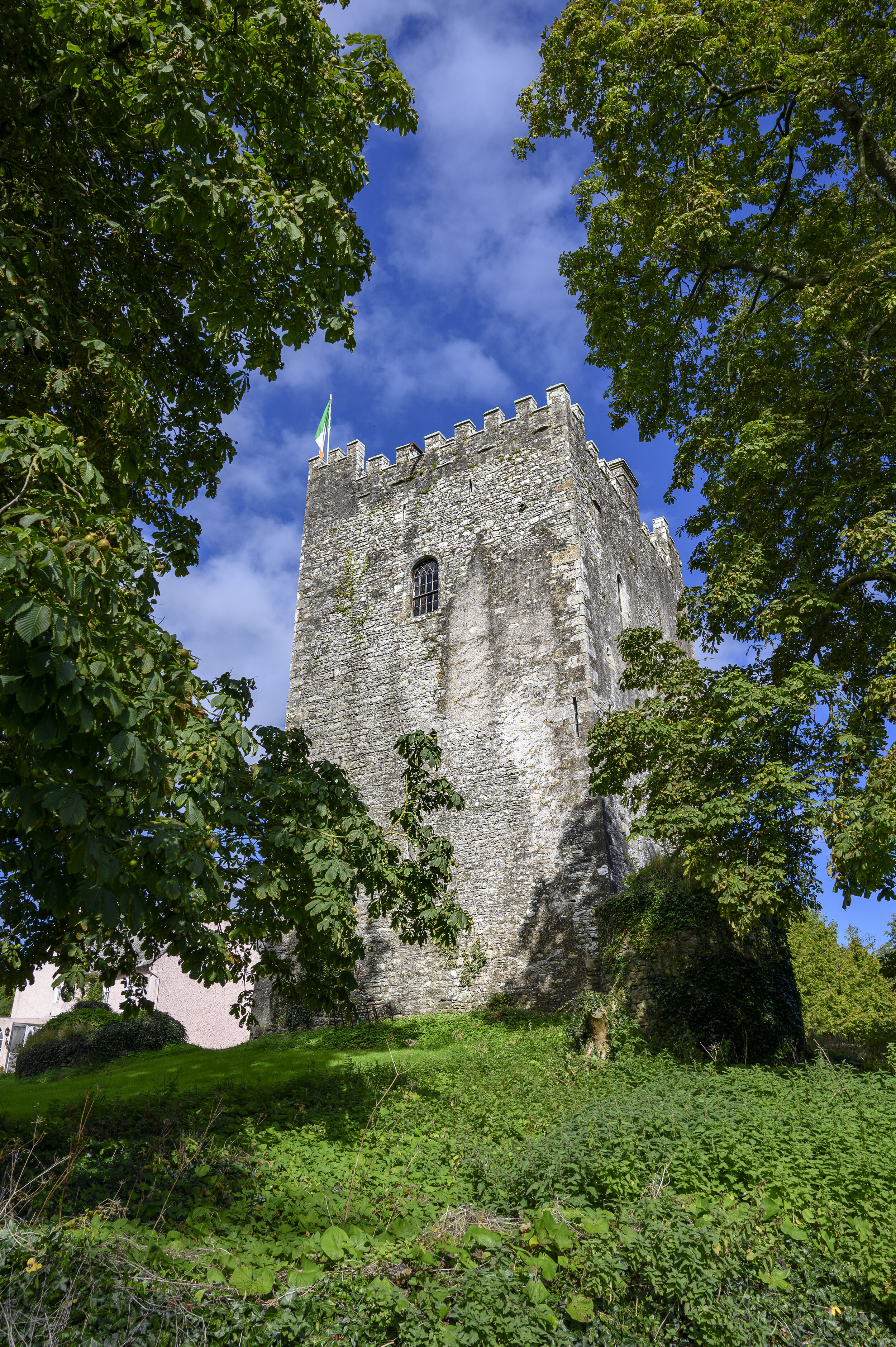 DSC_2709.jpg