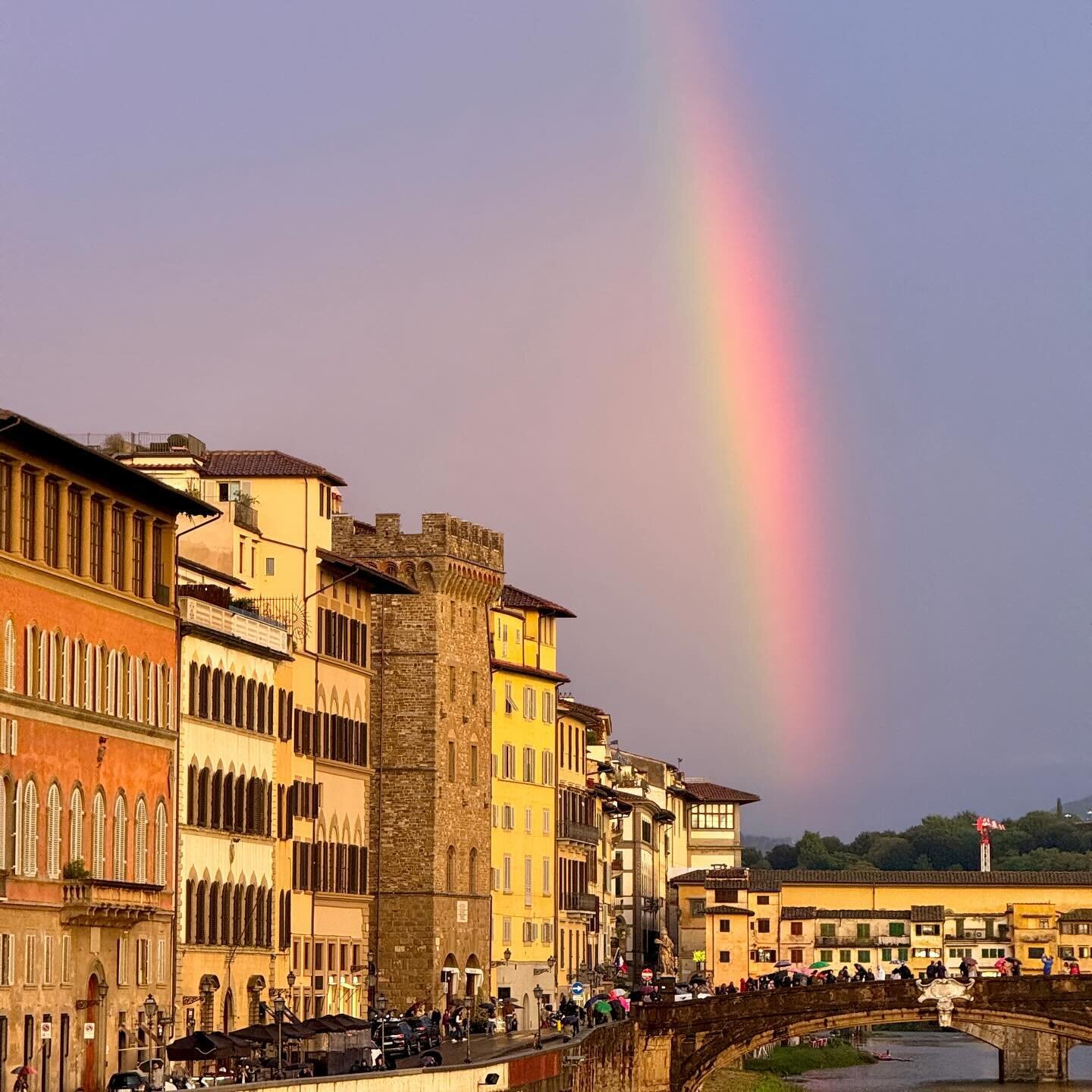 After a much needed hard rain! ❤️ 🌈