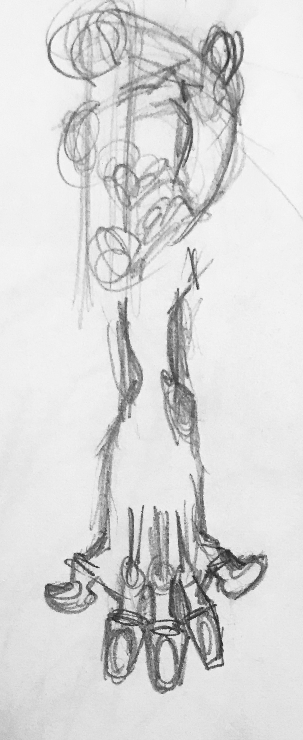 IMG_2461.jpeg
