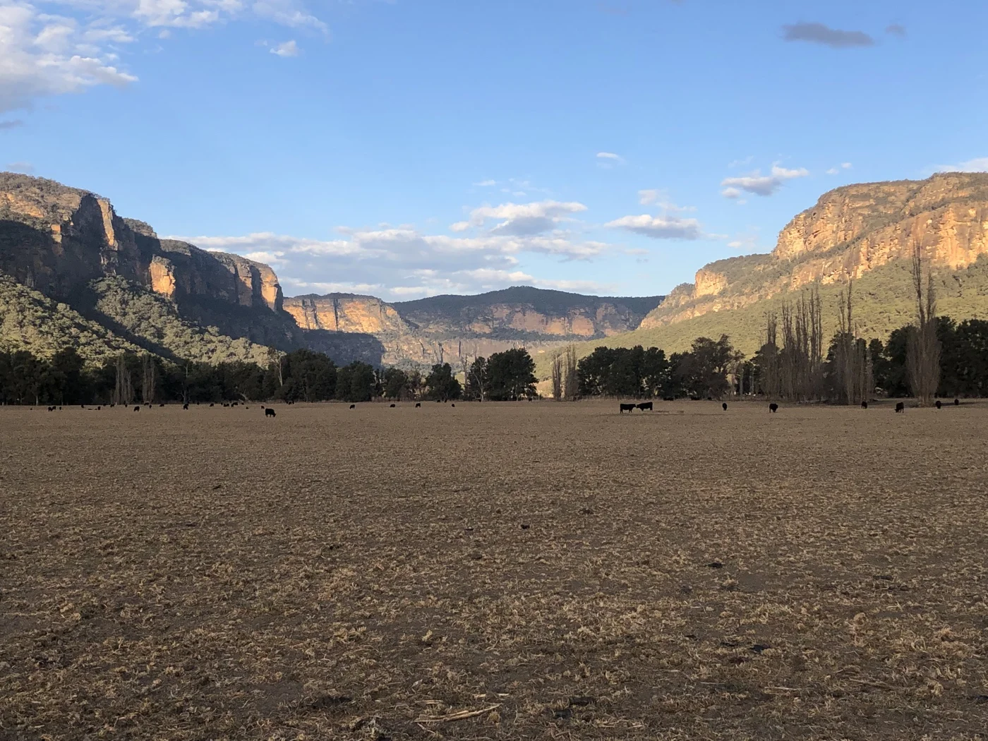 Scene03.2019-08-25 16.48.11.jpg