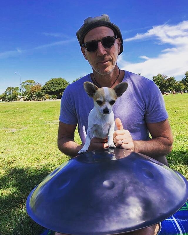 Online Handpan lessons for puppies in lockdown about to begin.  Bring your own  #chi