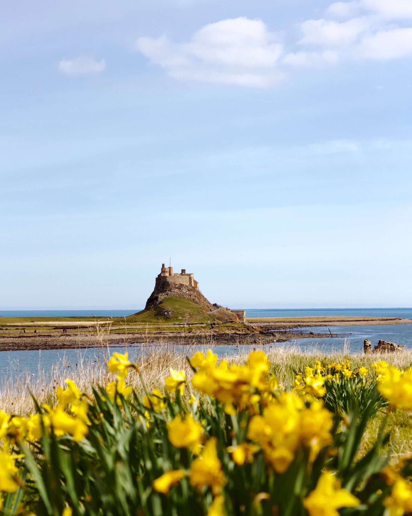 Pictures of the sea surrounding Lindisfarne are on the blog. www.miabcreative.com

Wishing I was smelling the sharp tang of ocean air and hearing the gulls cry! 

#holyislandoflindisfarne #lindisfarnecastle #northumberland #northumberlandcoast #engla