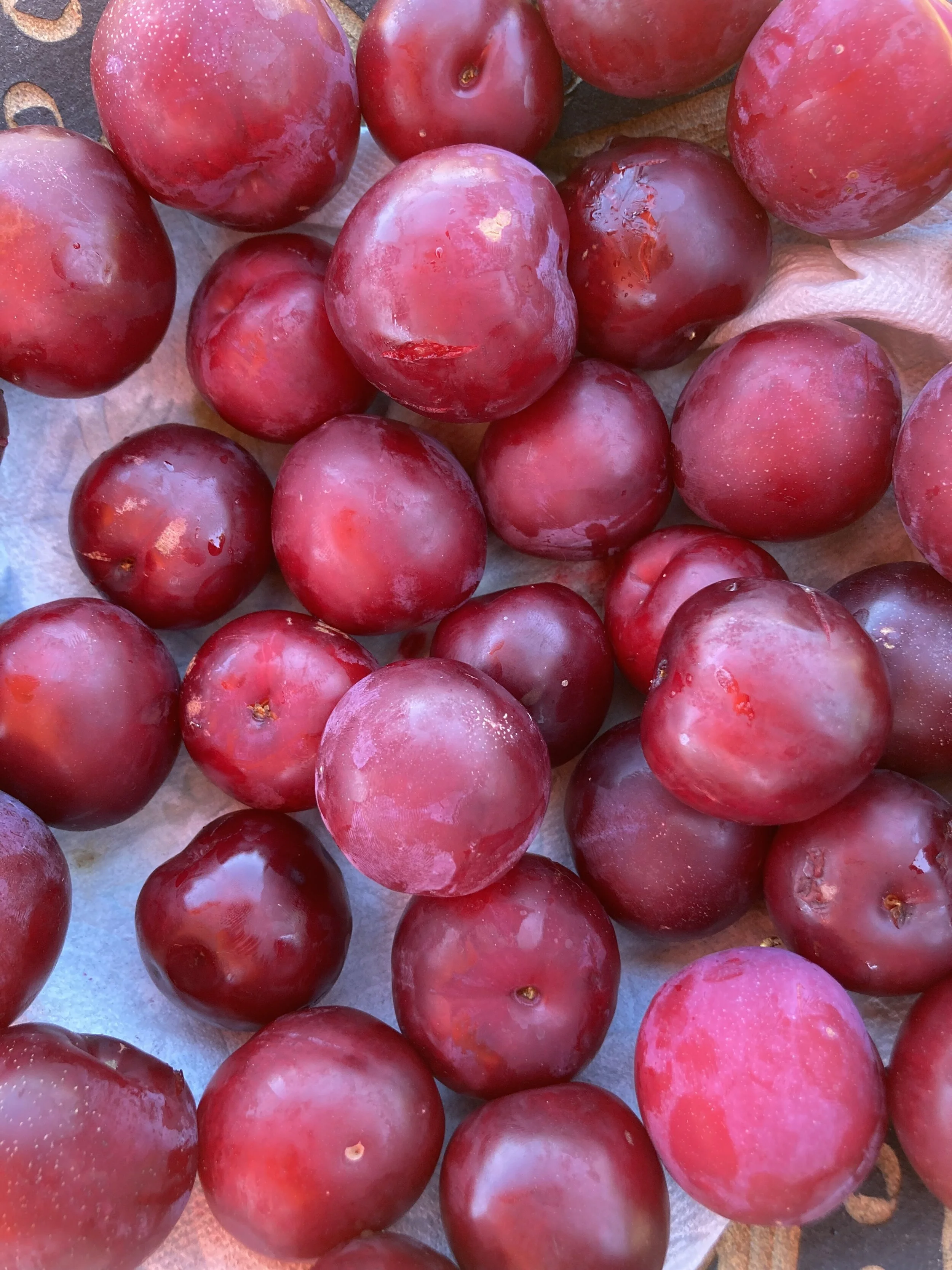 Plums &amp; Prunes - Here's the Scoop!
