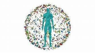 Microbiome & its Far-Reaching Effects on our Health
