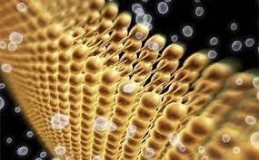 Lipids, Cardiovascular Health, & More