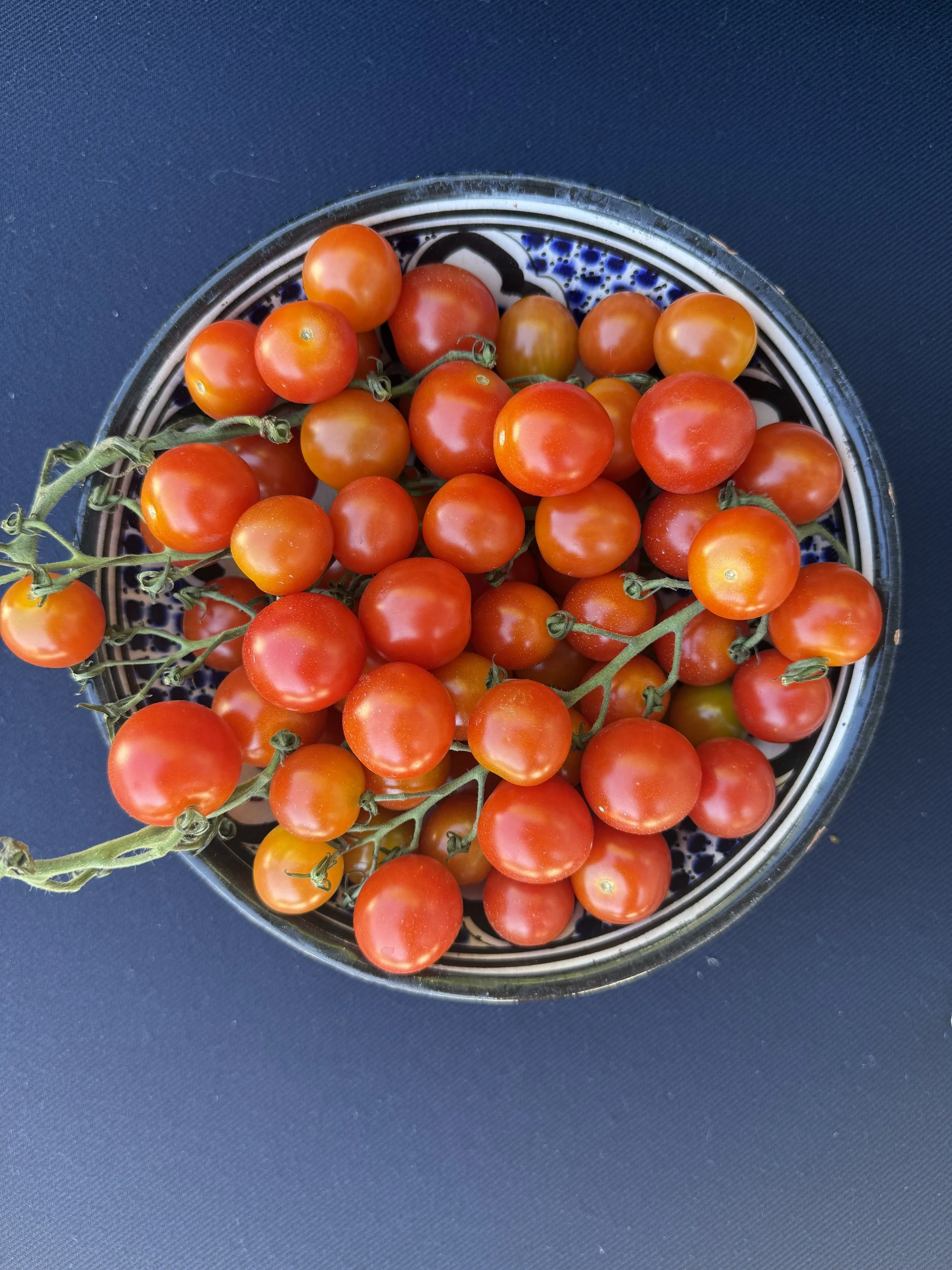 Tomatoes: What the Research Actually Shows