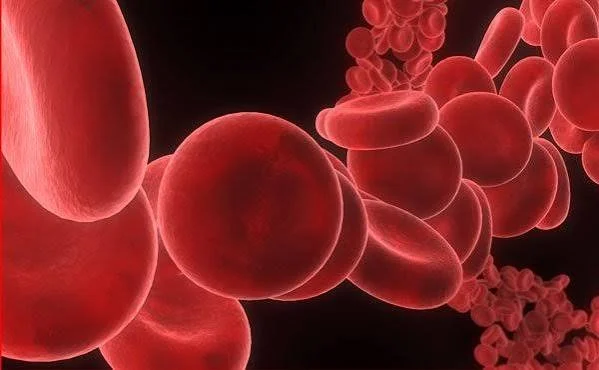 In the Press: Eating Well With Multiple Myeloma