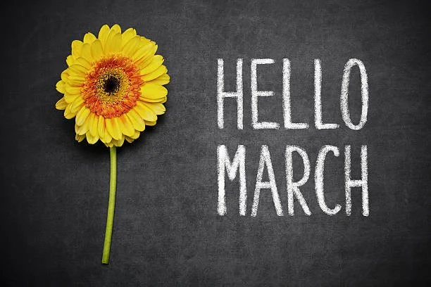 Verbal Course: March 2026 Digital SAT