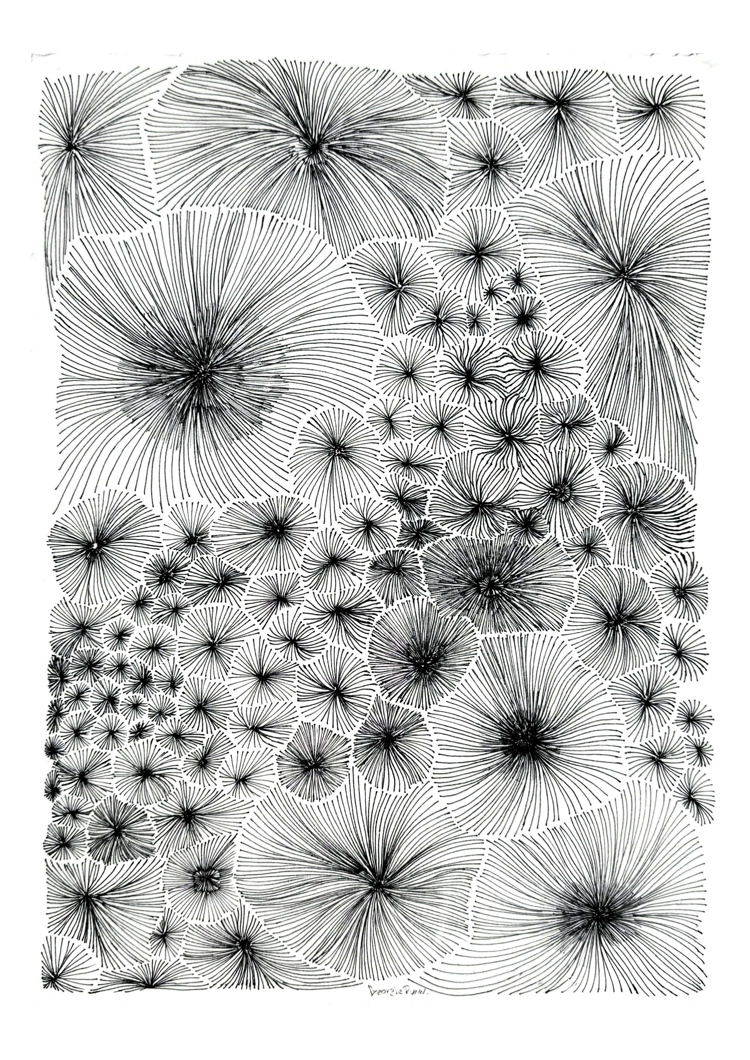 Coral Patterns 2.jpg