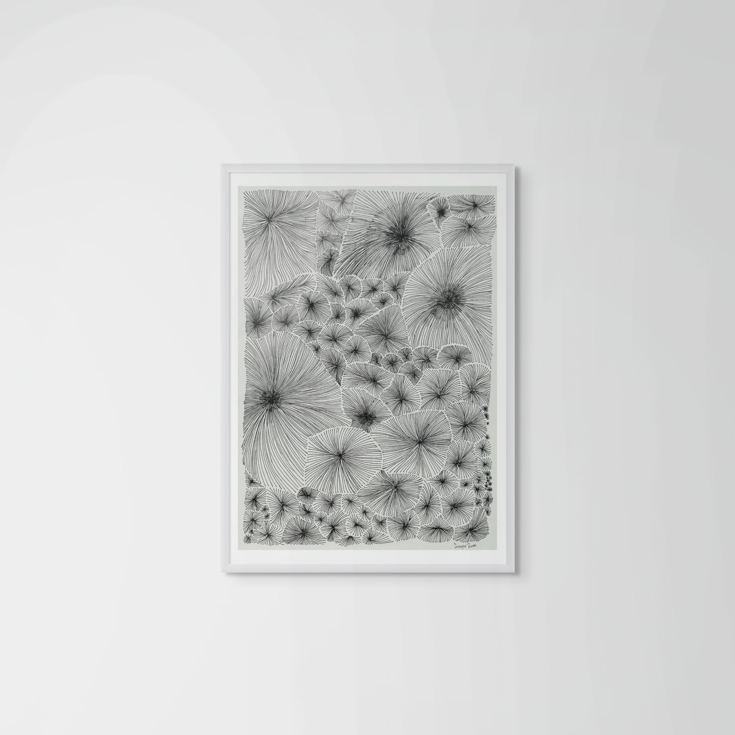coral patterns i plain frame.jpg