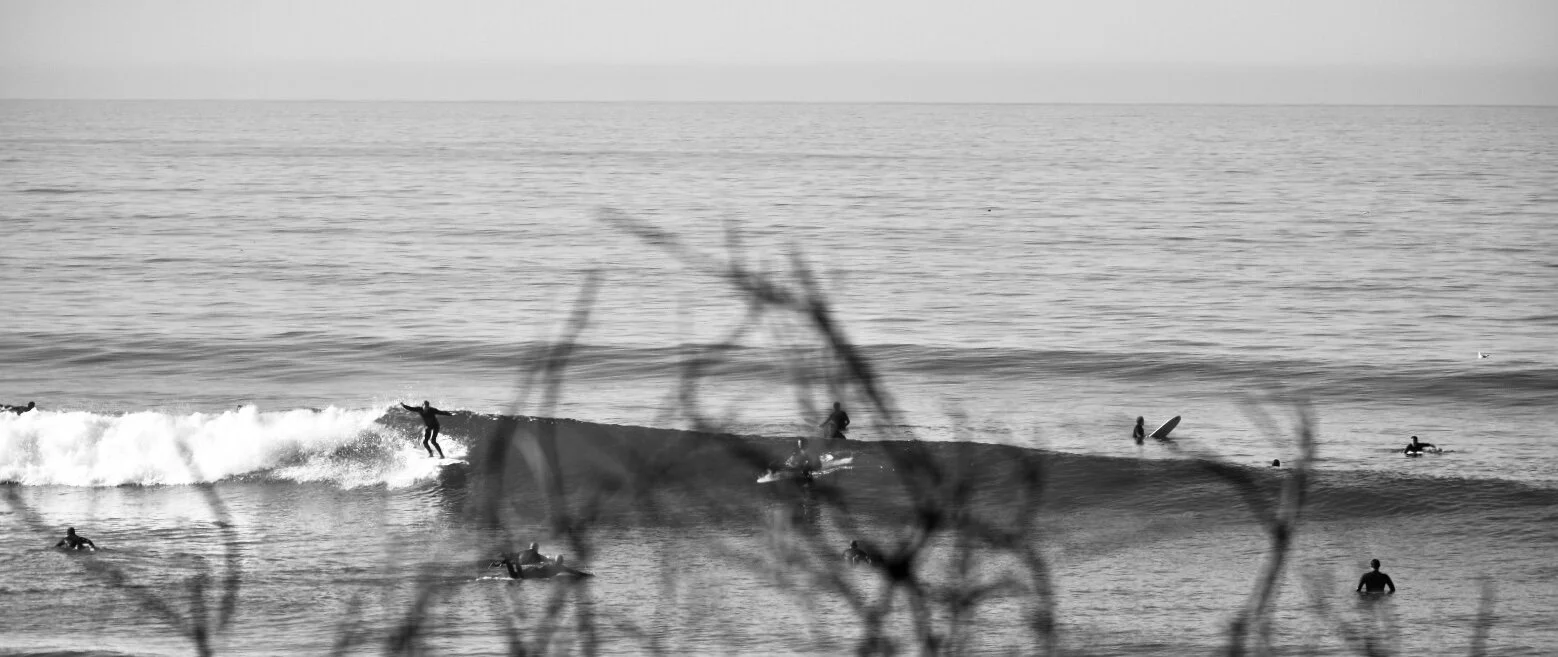 image00011.jpeg