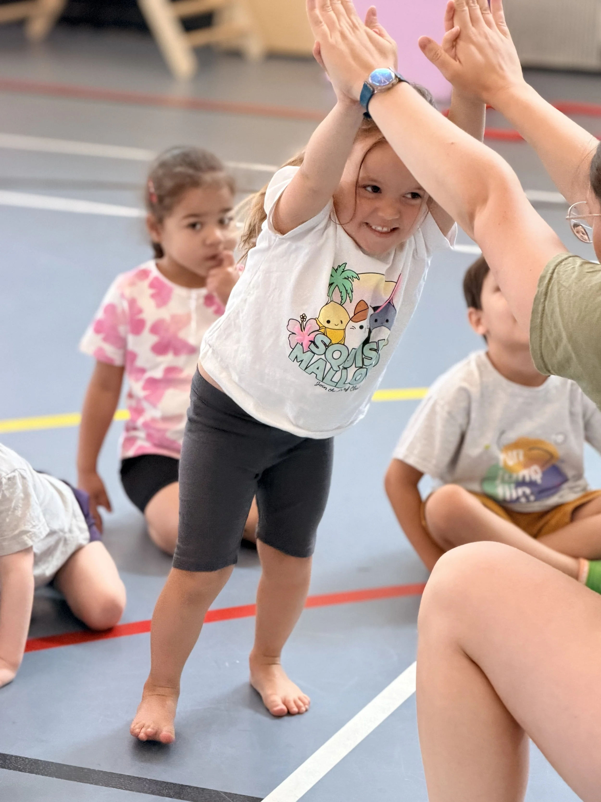 What Skills Are Taught in Beginner Gymnastics Classes?