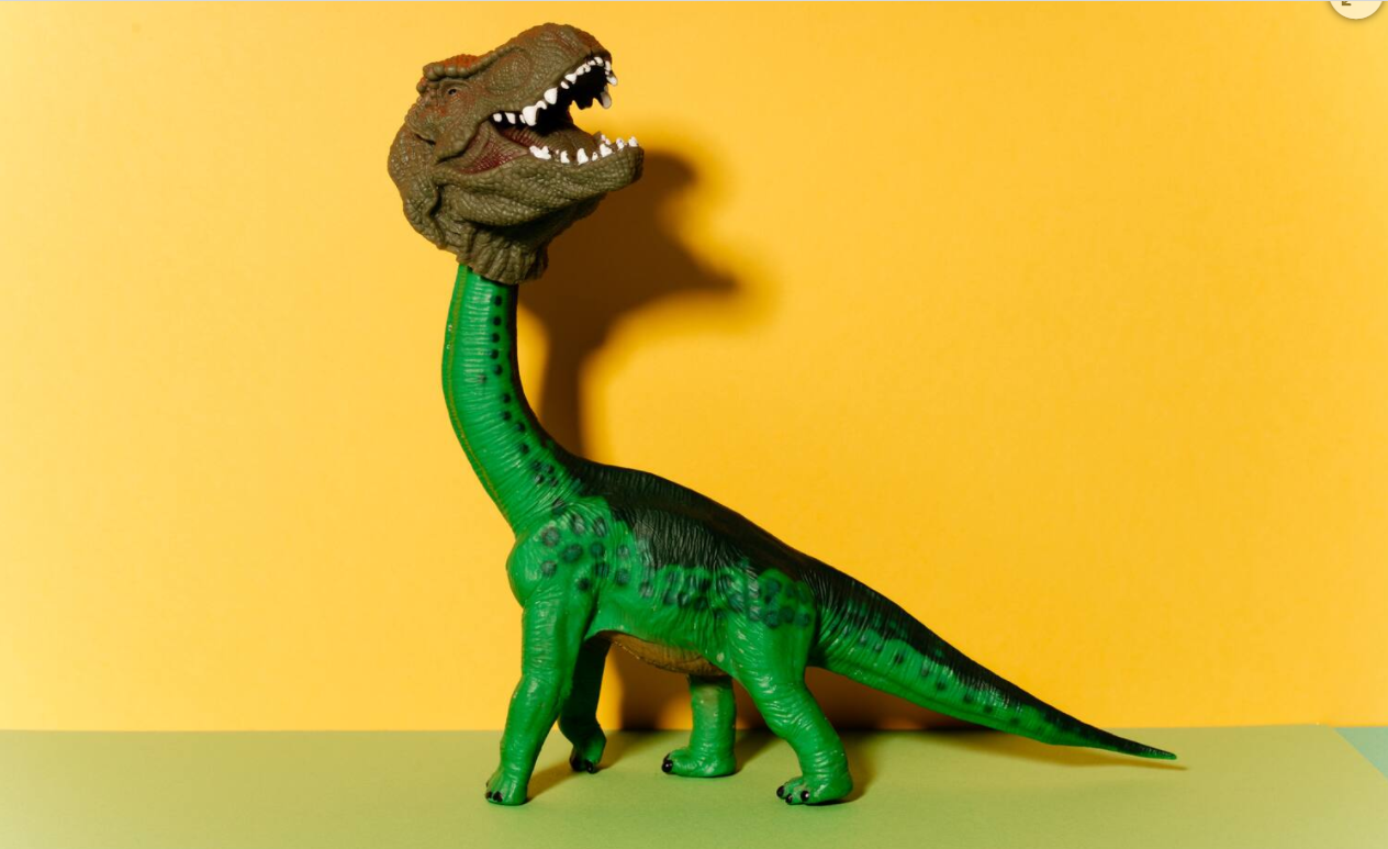 Erste Schweizer Studie: Hass im Netz – wie lässt sich diese Gefahr mildern? - Schweizer Illustrierte