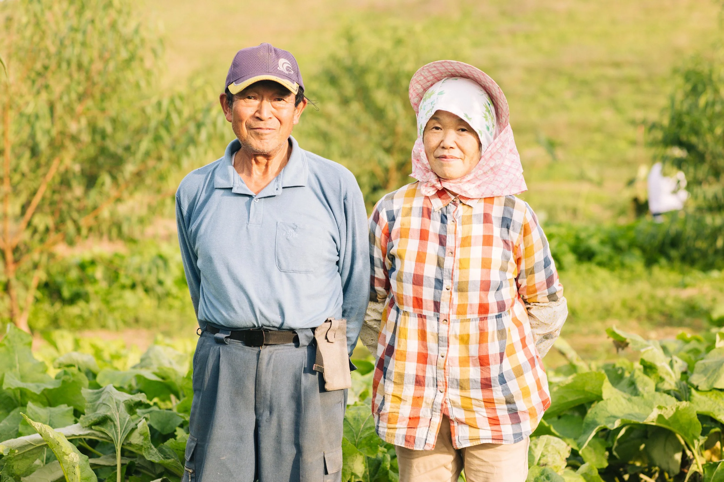 鈴木耕治さんと惠子さんのごぼう畑