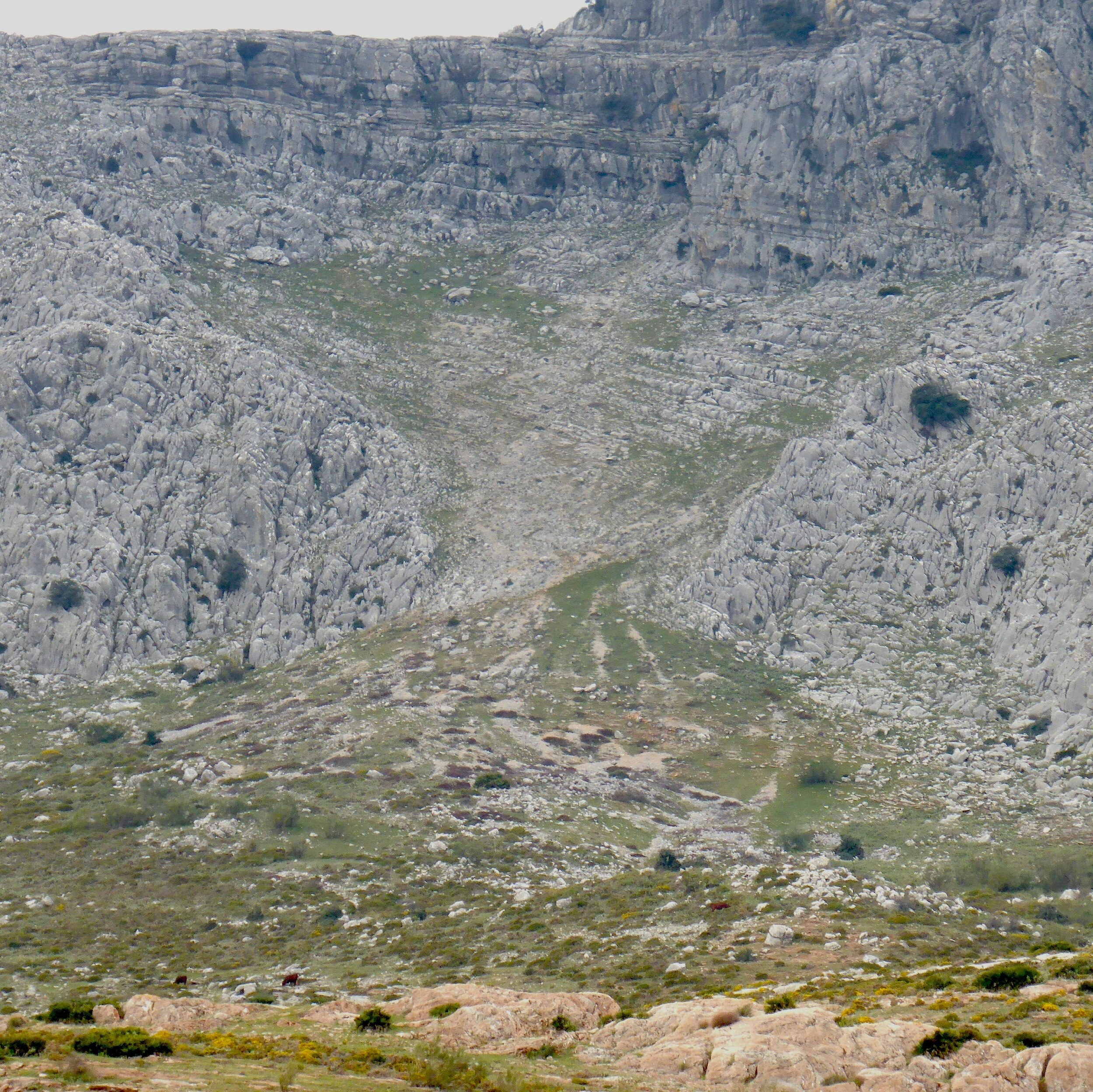  Karstic plain, near Benajoán 