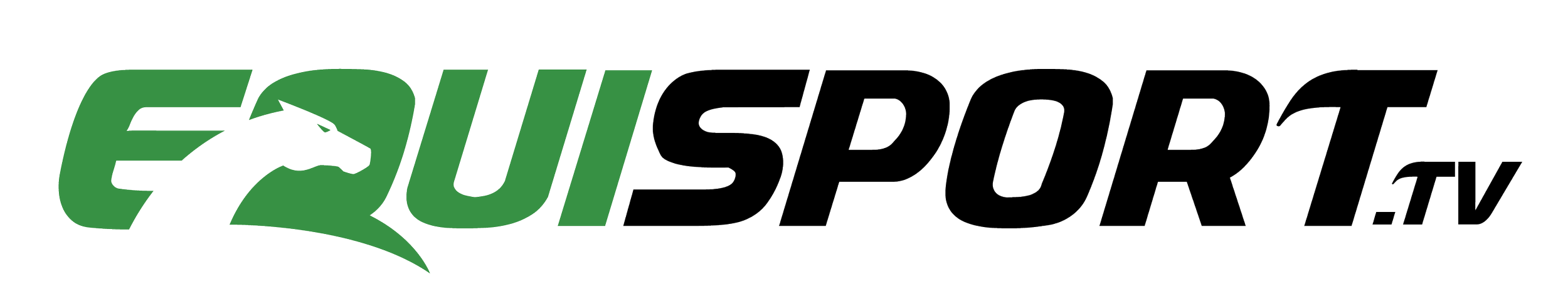 thumbnail_Equisport_Negativ.png