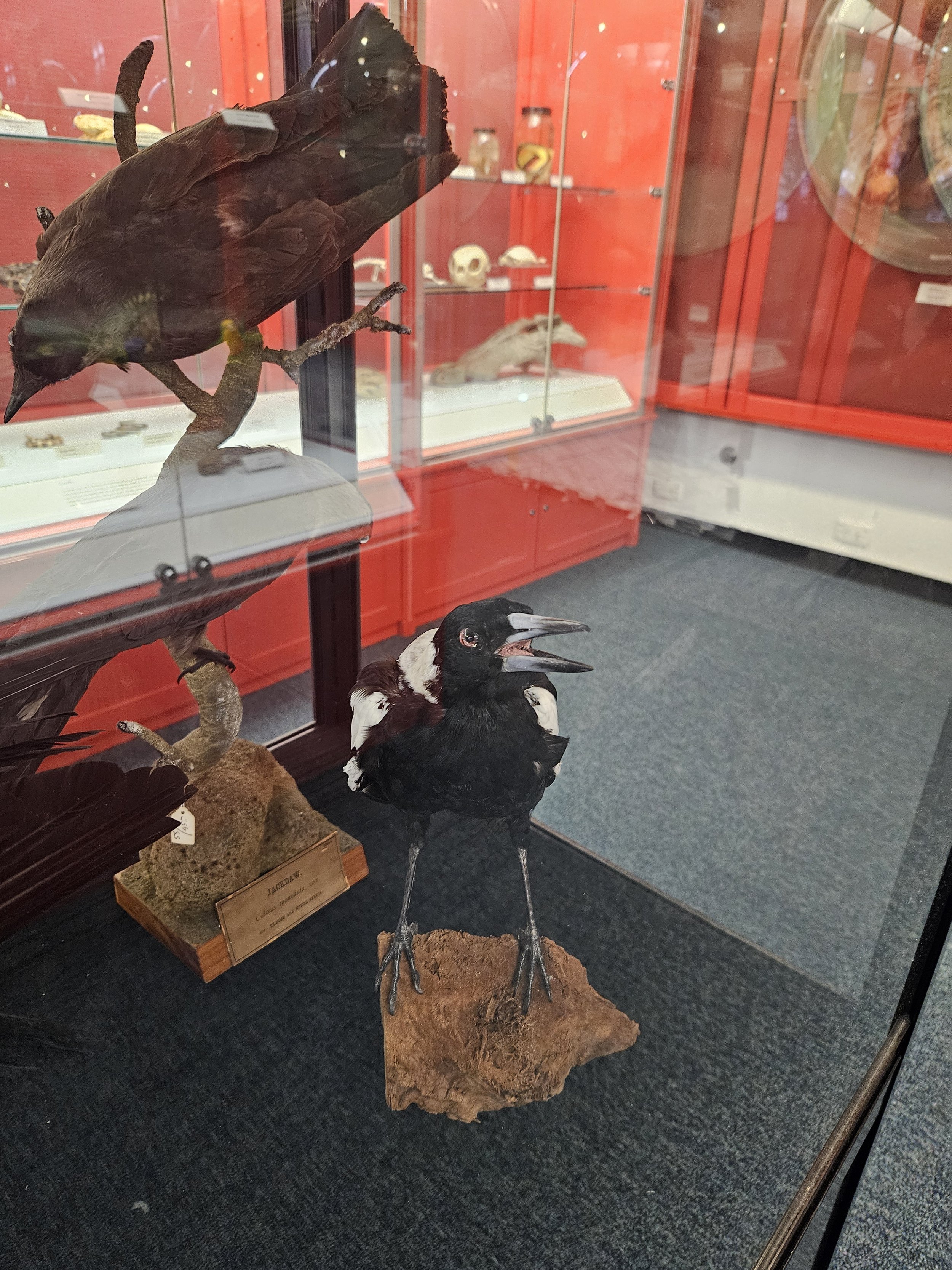 museum.jpg