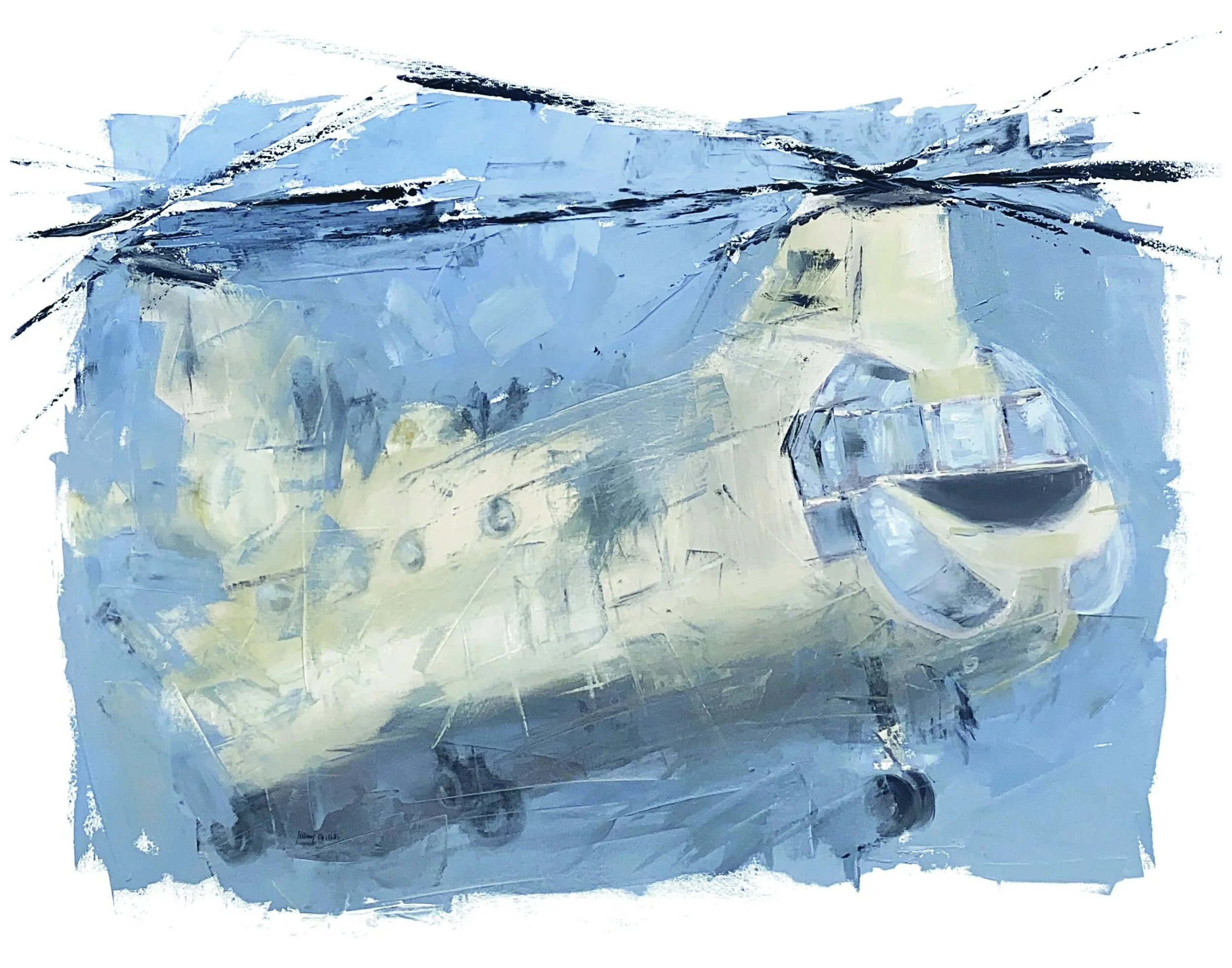Chinook_11x14_raw+%281%29.jpg