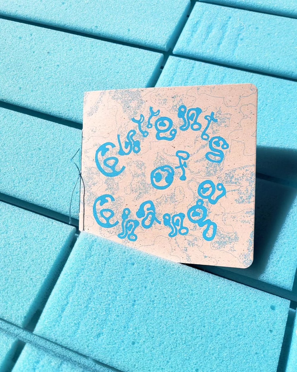 ᭙ꫝꪖ𝕥 ᦔꪮꫀડ ⅈ𝕥 ꪑꫀꪖꪀ 𝕥ꪮ ꫀડᥴꪖ&rho;ꫀ, ᭙ꫝꫀꪀ 𝕥ꫝꫀ ᥴꪊ𝕣𝕣ꫀꪀ𝕥ડ ડ𝕥ⅈꪶꪶ &rho;ꪊꪶꪶ ꪗꪮꪊ ᥇ꫀꪀꫀꪖ𝕥ꫝ ꪗꪮꪊ𝕣 ડ𝕜ⅈꪀ? 

Currents of Change is a self-made zine I wrote, illustrated and produced during my internship @riso_pop 🌊

It tells the story of an octopus undergo