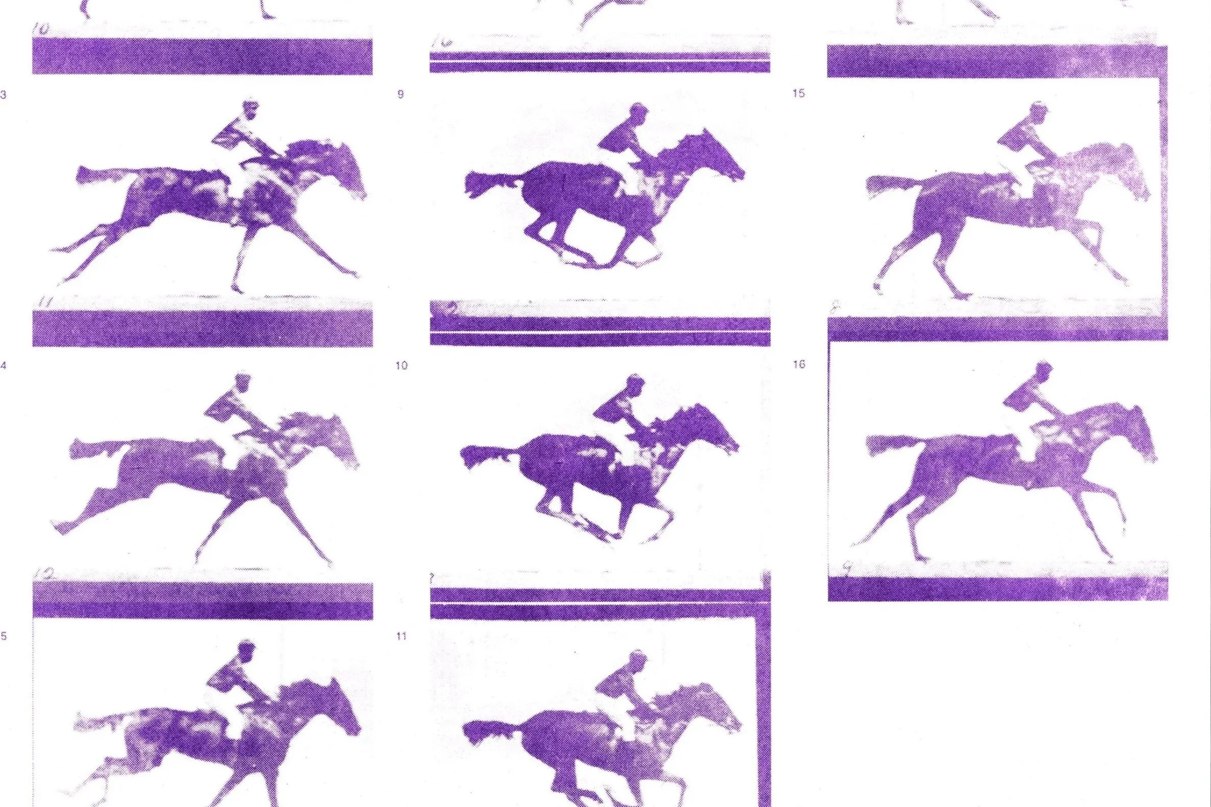 Riso Animation with Philip Bell