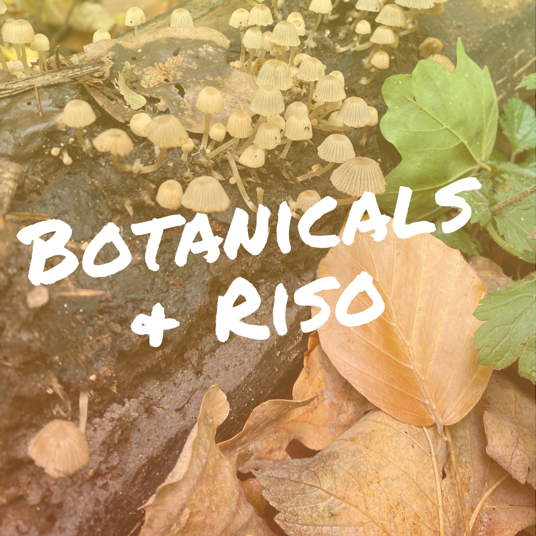  Botanicals &amp; Riso - Plants, Layers &amp; Colour