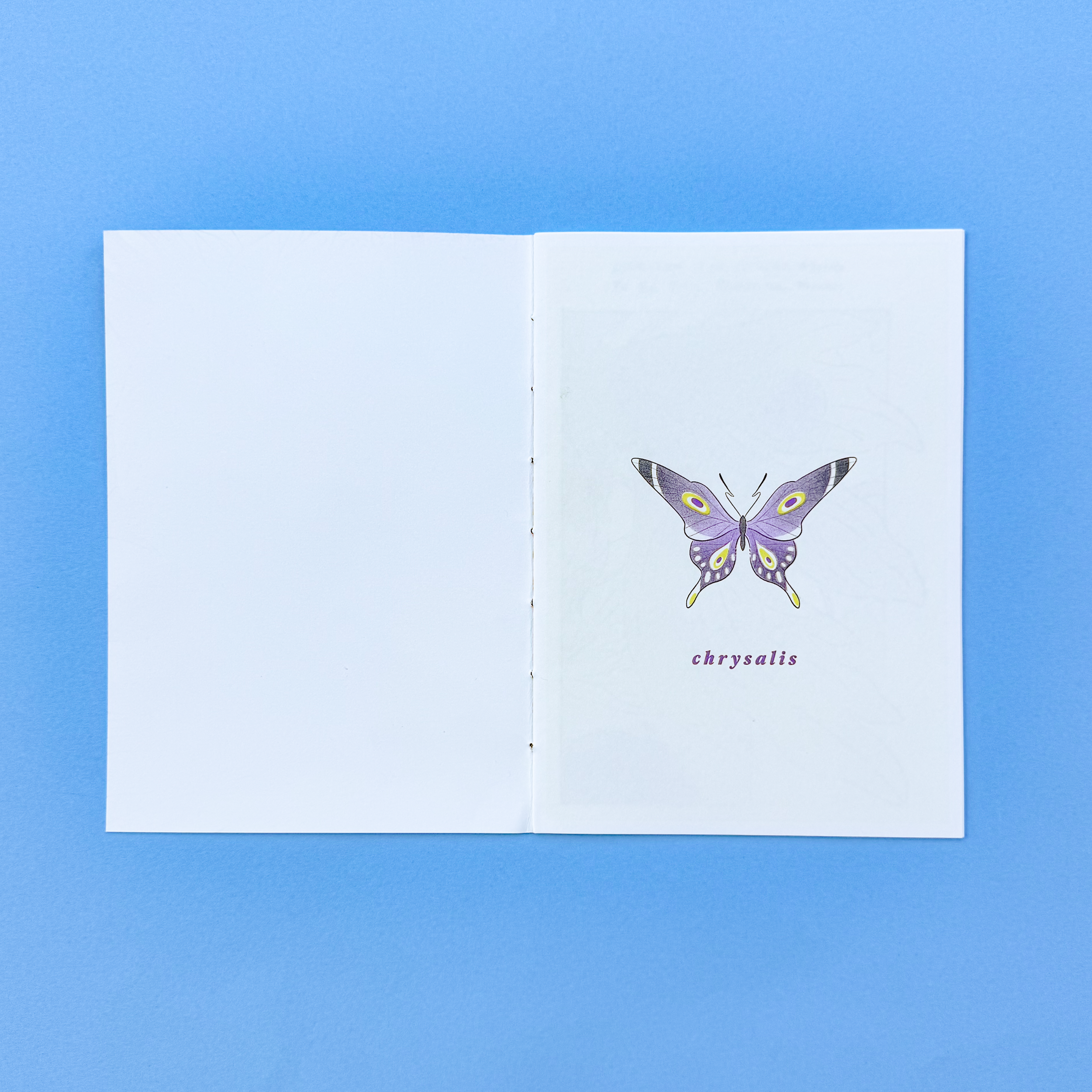 chrysalis-5.png