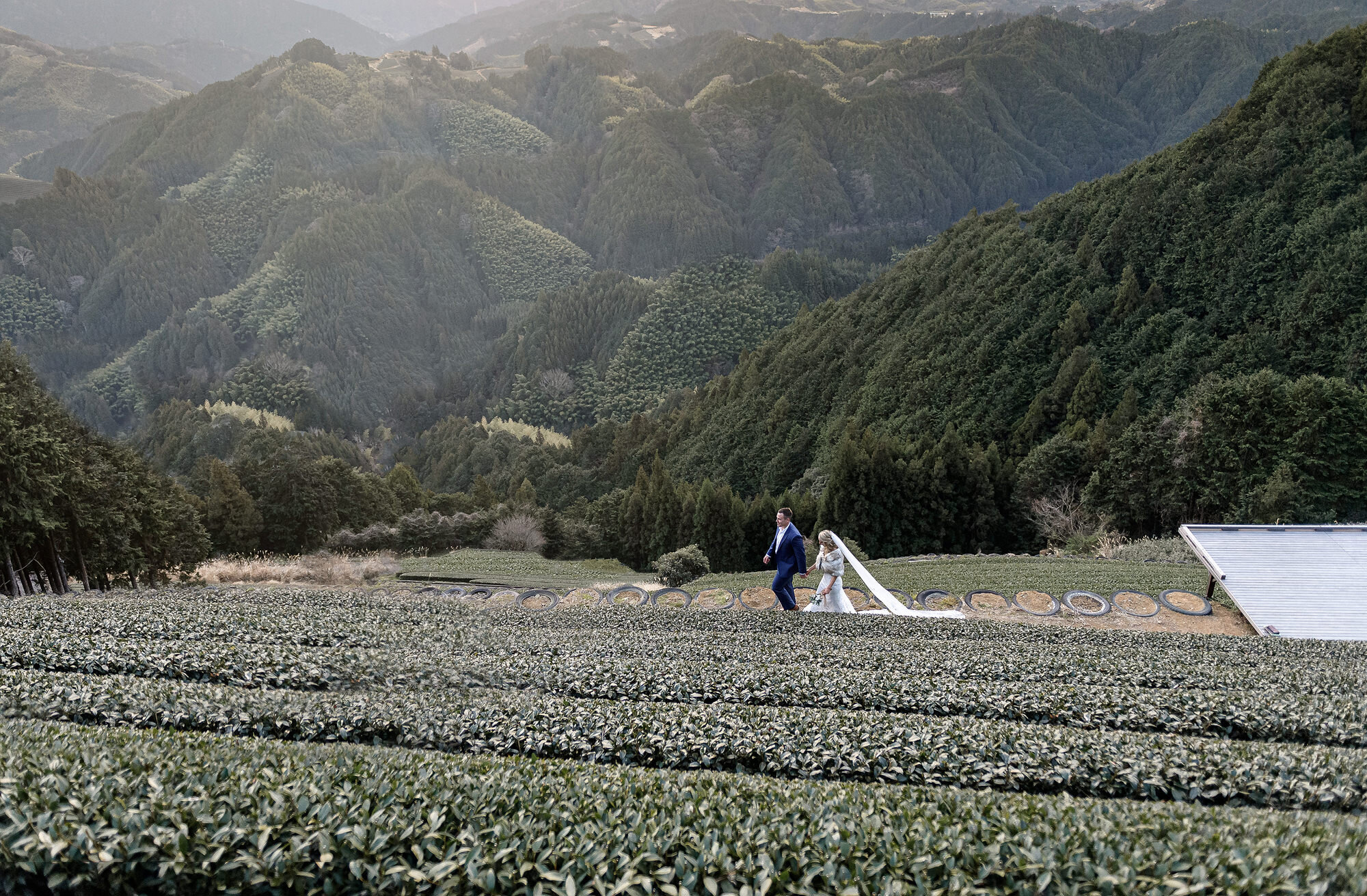 Elopement in Tea Fields in Japan