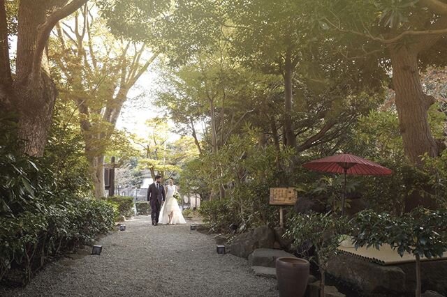 Always supporting the local community that has always supported us. Iconic beauty just outside Tokyo. Elope in a historical Japanese Ryokan.⁠
⁠
Japanese Ryokan Elopements are divine. Be a part of history. The quintessential elopement location. Nestle