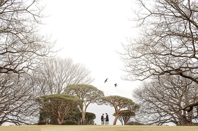 Our two Tokyo grooms. Elope in Tokyo 🖤⁠
.⁣⠀﻿⁠
📋+📸@37frames⠀﻿⁠
.⁣⠀﻿⁠
#37frames #destinationweddingplanner #internationalweddingplanner ⁠#gaywedguide⁠ ⁣#twogrooms #weddingsaroundtheworld #equallywed #globalpride2020 #pride2020 #lgbtqelopement #world