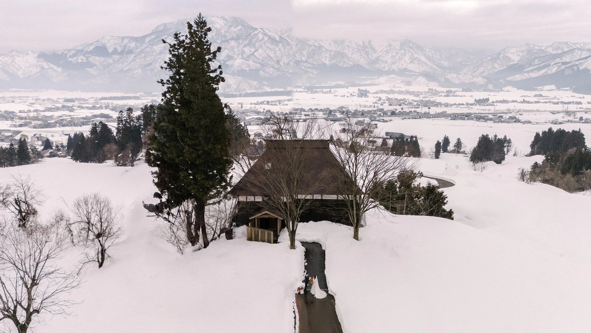 25.1.22 - Taryn and Luke - 37 Frames 0390.jpg