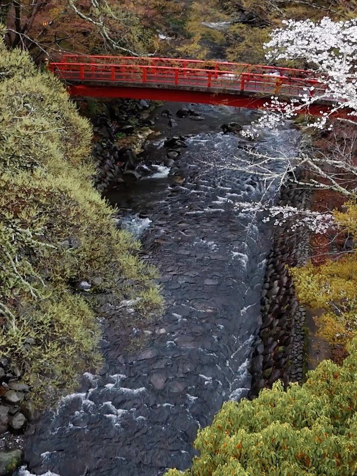 HAGAKI | postmarked: Asaba Ryokan, Shuzenji x sakura edition

Twenty moments.
Because some days change you a little.

(Swipe through to end for the rain&hellip;)

___

Planner | Dee @37frames 
Assistant Planner | Sumika @sumikakawaguchi⁠
Photography+