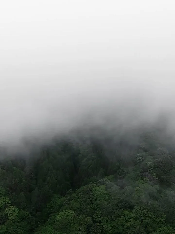 A few more postcards from the edge&hellip;

HAGAKI | postmarked: Ryokan X Shinjuku

Ceremony energy. Tradition first.
Arcade brain. Neon later.
No notes. Perfect day.