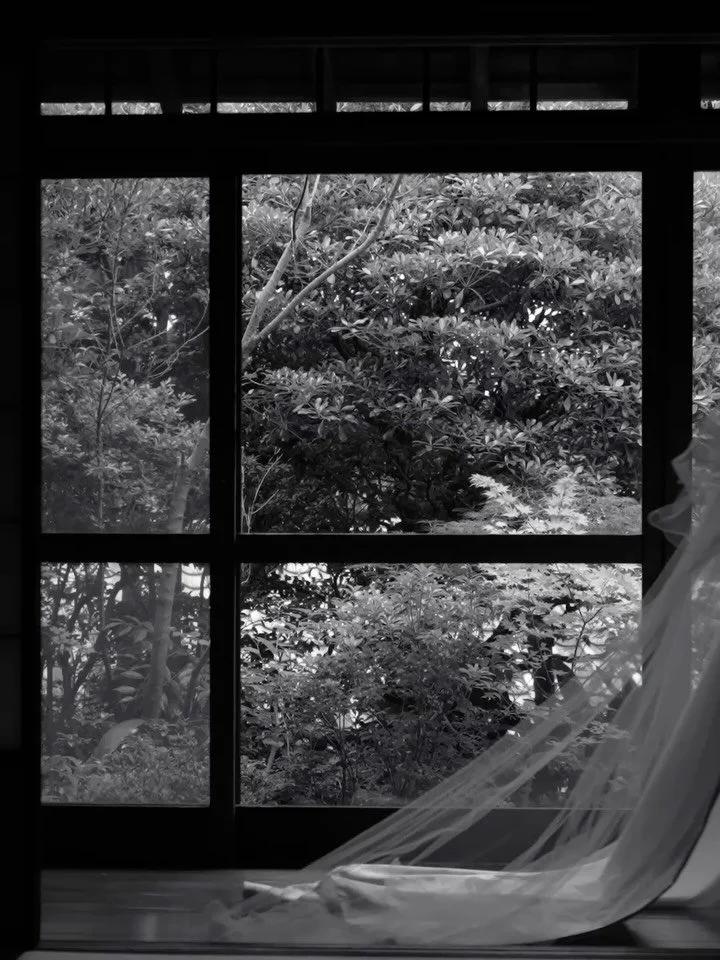 A few more postcards from the edge&hellip;
HAGAKI | postmarked: Ryokan X Shinjuku

Twenty moments.
Misty mountains to flashing lights.
This day had &hellip;range. Ryokan ceremony then Shinjuku after dark.