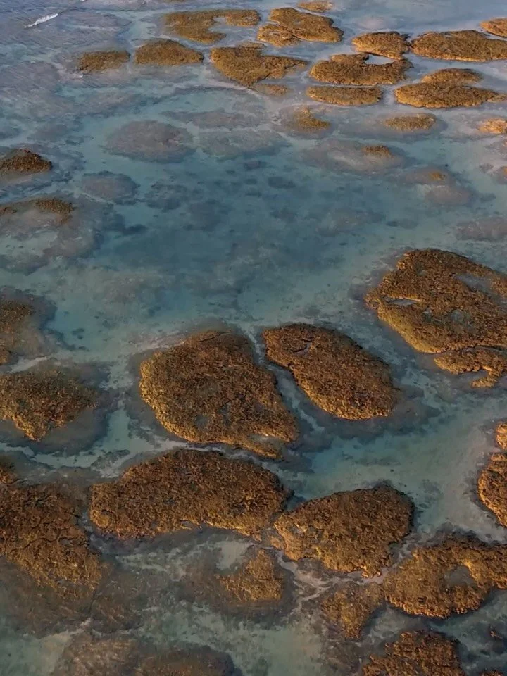 Red tiles. Sanshin strings. A shisa that bit heads. An Okinawa wedding. Nanjo. Southern edge.

LIVING POSTCARDS | postmarked: Where the Ryukyus Began

Twenty moments. A hotel on the cape where the creation goddess first touched earth. 

Kudaka Island