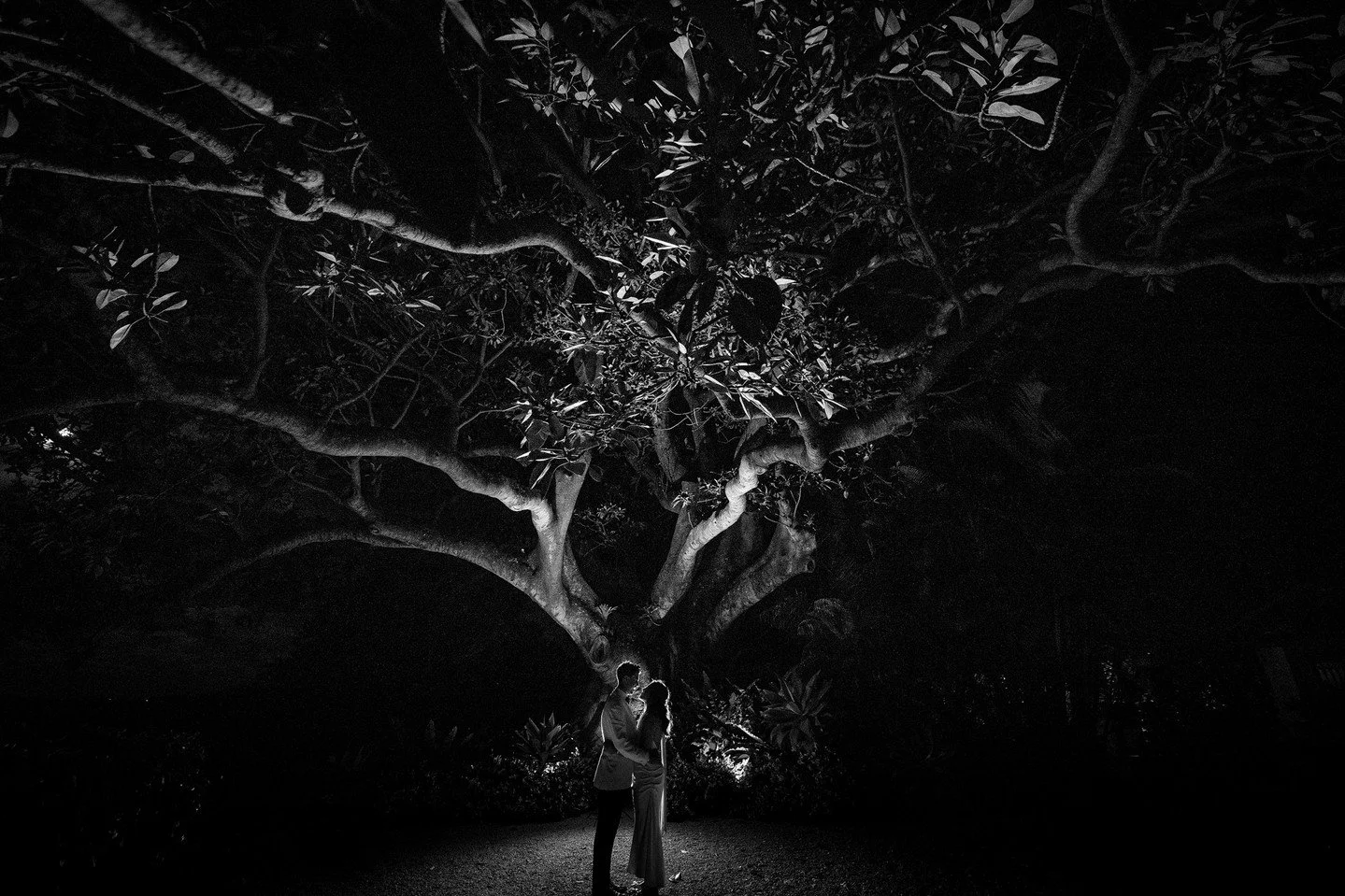 Another off-camera flash. A legendary fig tree. And one very fabulous couple right in the middle of it all.⁠
⁠
Byron Bay does its thing after dark - warm air, big trees, zero rules. Add a little light in the right place and suddenly the night feels c