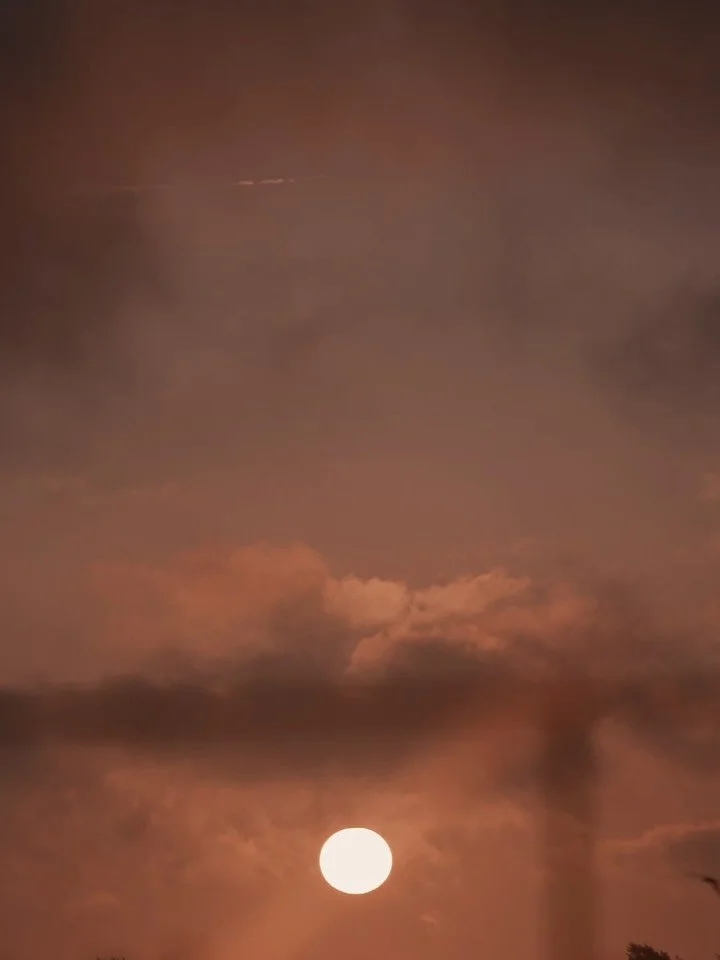 On a Blue Zone island where people live longer than almost anywhere on earth, two people stood here and promised each other all of it. A Miyakojima wedding. 

POSTCARDS | postmarked: somewhere in the Ryukyu

Sugarcane fields to the left. Miyako Blue 
