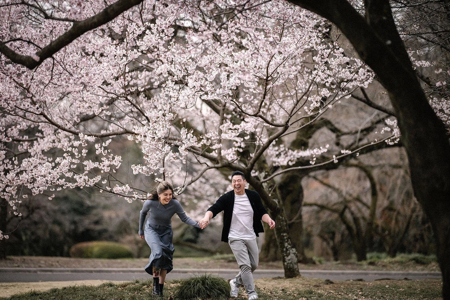 Just because the blossoms are coming... and we miss these two. Their elopement is a #foreverfavourite.⁠
⁠
📋 Planning | 📸 Photography | 🎥 Film by @37frames⁠
⁠
#cherryblossomwedding #sakuraseason #destinationweddingjapan #japanelopement #37frames