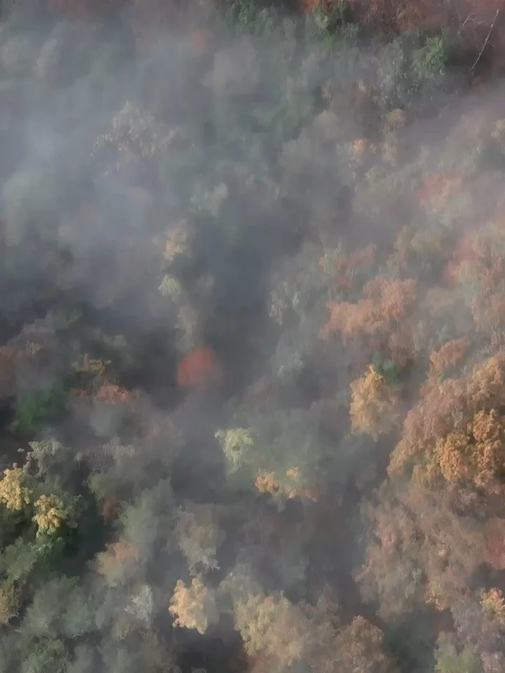 Wild in the best way.
Deep without being loud.

An elopement shaped by walking, listening, and choosing this place
again and again.

#destinationweddingjapan #japanelopement #37frames #japanstories #intentionalwedding