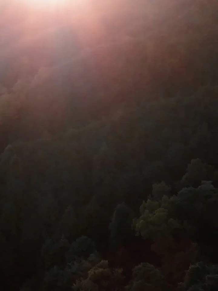This wasn&rsquo;t just scenery. It was shakkei. Borrowed landscape.

Koi below the surface. Autumn leaves overhead. Music played by people who&rsquo;ve lived this craft.

#japanelopement #destinationweddingjapan #nara #mie #senseofplace 37frames